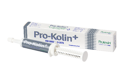 פרו קולין לשלשולים ובעיות עיכול (30 מ"ל) Pro-Kolin+